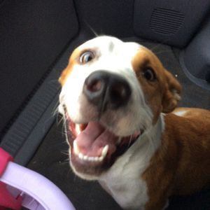 Meet your Posher, Kassandra